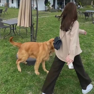 来自长崎的女孩